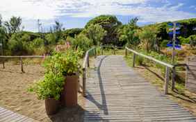 Über einen Bohlenweg erreicht man in wenigen hundert Metern den schönen Sandstrand - Foto: Bethel Fath
